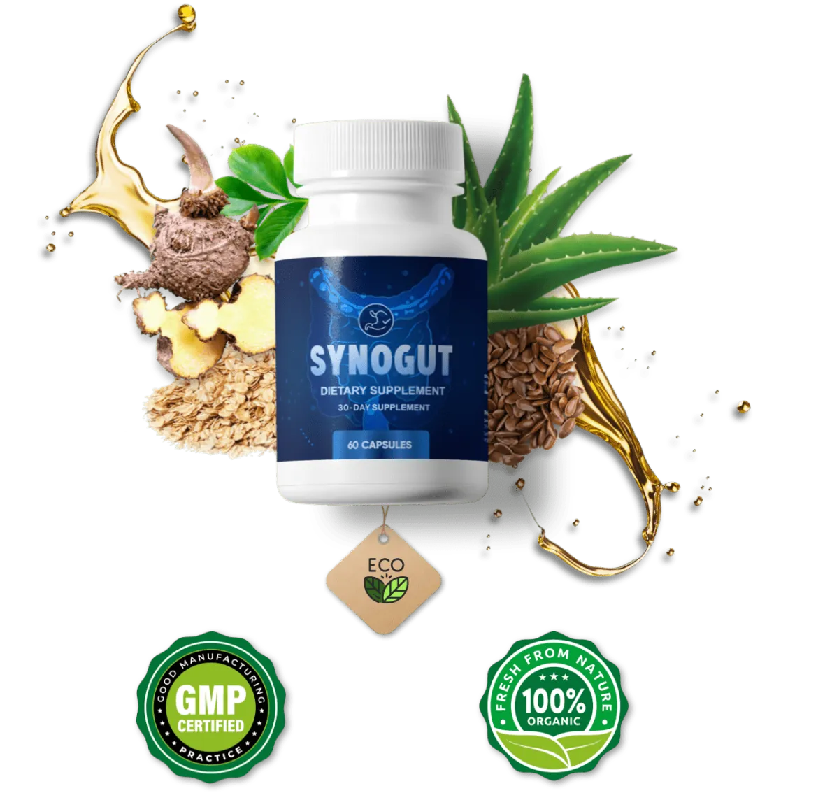 Synogut Supplement